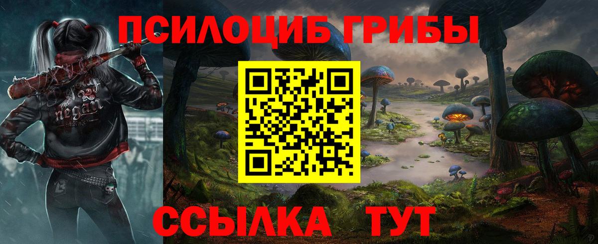 Псилоцибиновые грибы GOLDEN TEACHER  Вход с VPN  Ефремов  Псилоцибиновые грибы MAGIC MUSHROOMS 